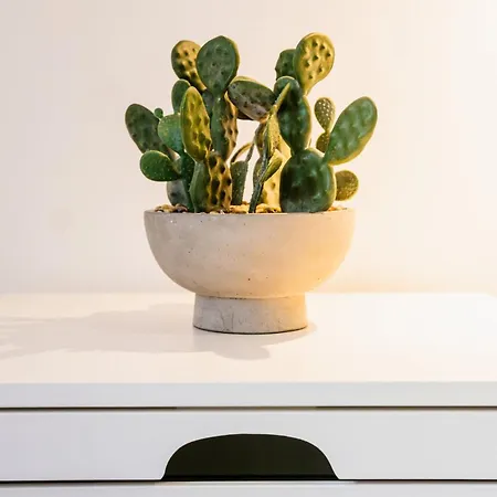 In Campo De Ourique Apartment *